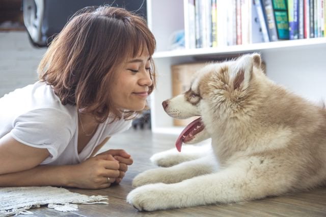 Survey Shows Dog People Love Dogs More Than People