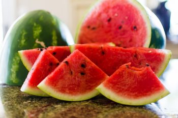 Can Huskies Eat Watermelon?