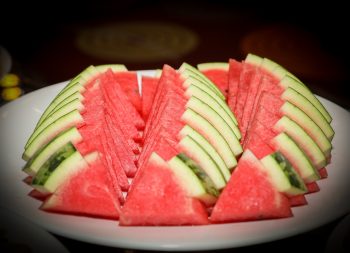 Can Bull Terriers Eat Watermelon?