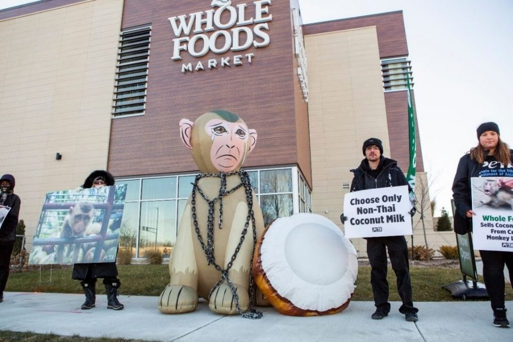 Giant ‘Monkey’ to Hijack Albuquerque Whole Foods Grand Opening Over Thai Coconut Industry Abuse