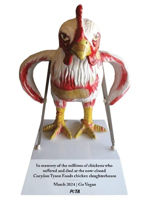 Statue of ‘Maimed’ Chicken Would Memorialize Animals Killed at Old Tyson Foods Slaughterhouse