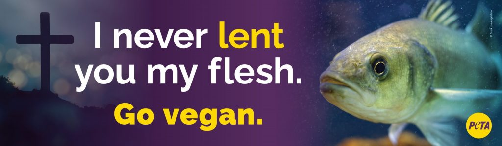 ‘I Never Lent You My Flesh’: PETA Message Arrives in Augusta With Vegan Fish Giveaway