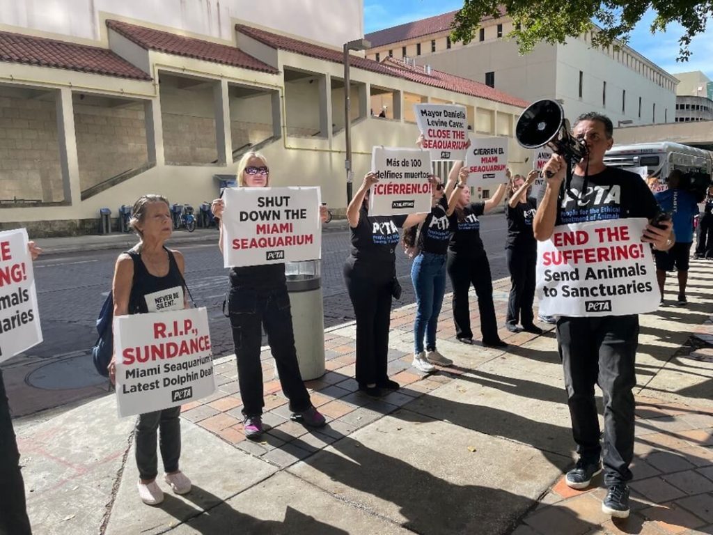 Dire Conditions at the Seaquarium Prompt New Protest at Mayor’s Office to Demand Park Shutdown