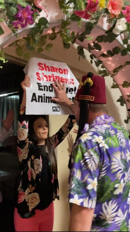 Video: PETA Supporters Crash Sharon Shrine ‘Nobility Ball’ Over Circus Cruelty