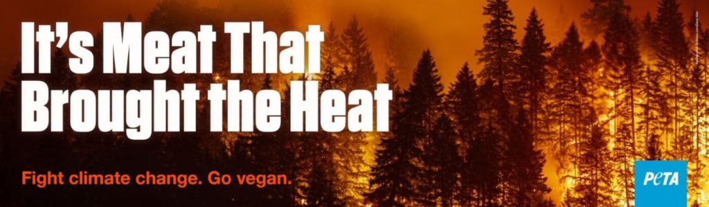 As Wildfire Rages, PETA Says Go Vegan to Save Your Own Community AND the Planet: Meat Brought the Heat!