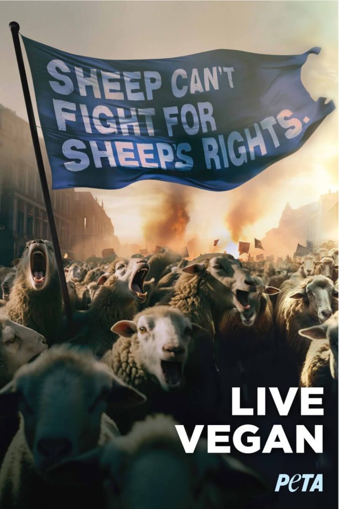 ‘Sheep Can’t Fight for Sheep’s Rights’: PETA’s Incendiary New Campaign Targets Fashion Schools