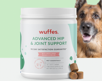 Wuffes Hip & Joint Supplement for Large Dogs Review: Is It Worth It?