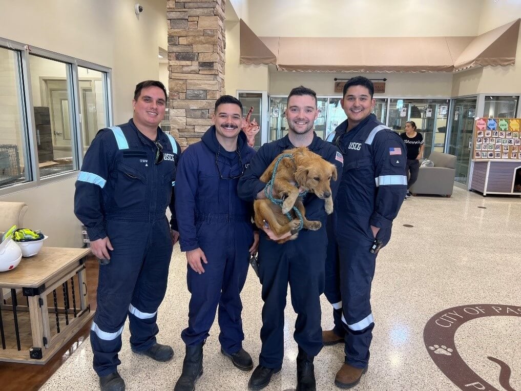 U.S. Coast Guard Team Nets PETA Award for Saving Dog Trapped in Shipping Container