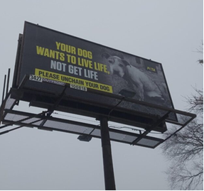 Freezing Weather Prompts ‘Take Your Dog Inside’ Messaging Appeals From PETA