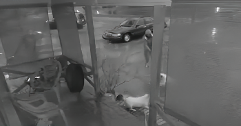 Video Shows ‘Moment’ Amazon Driver Shot Dog During A Home Delivery