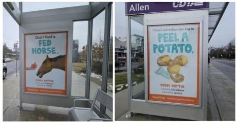 Feed Two Birds With One Scone: PETA Boosts Animal-Friendly Idioms in Albany Bus Shelter Blitz