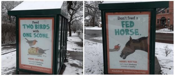 Feed Two Birds With One Scone: PETA Boosts Animal-Friendly Idioms in Syracuse Bus Shelter Blitz