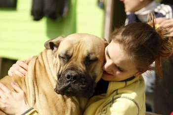 5 Intriguing Reasons Why Dogs Prefer Certain People Over Others