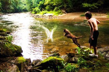 10 Life Lessons You Can Learn from a Chesapeake Bay Retriever