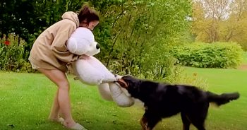 Granny Lugged Ginormous Bear To Her Grand-Dog And Mom Can’t Pry It Away