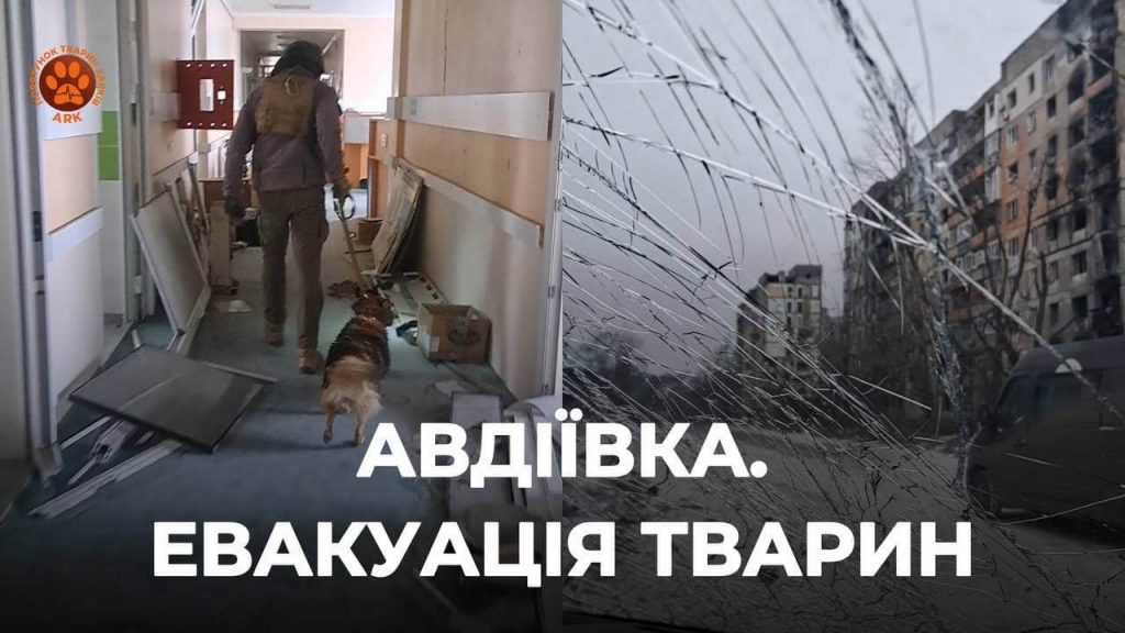 Drone Strikes in Ukraine Hit Animal Rescuers’ Van—Watch How They Escaped