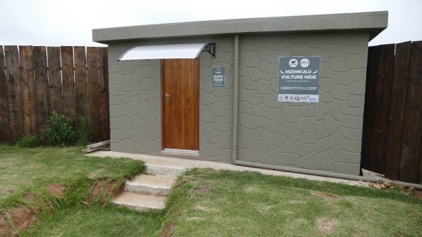 Southern Drakensberg Hide Launches in aid of Endangered Vulture Conservation