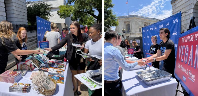 PETA to All-Female St. Paul City Council: ‘Ally With All Females—Go Vegan and Lunch Is on Us’