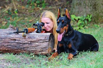 7 Dog Breeds That Would Make Excellent Secret Agents