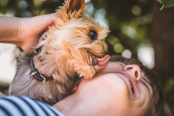 5 Ways Your Dog Talks Through Licking