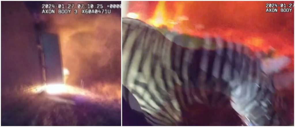 Shocking Bodycam Video Footage Shows Terrified Zebra Caught in Circus Trailer Fire