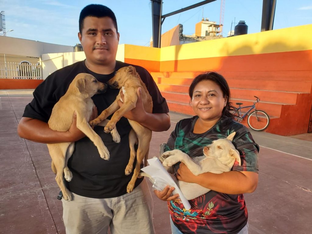 Mexico’s Homeless-Animal Crisis Is a Huge Problem—Here’s How PETA’s ‘Fixing’ It