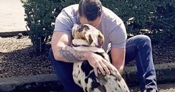 Guy Clutched Hostile Dog From Dumping Ground, Whispers “I Trust Him”