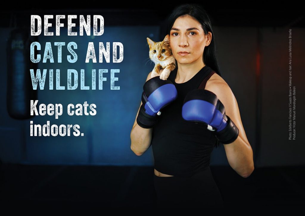 Irene Aldana Packs a Punch in New PETA Plea to Keep Cats Safe Indoors