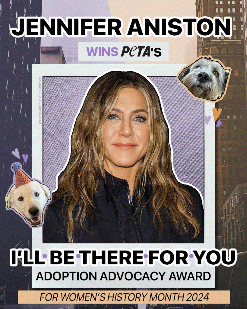 FURever Friends: Jennifer Aniston Receives Adoption Advocacy Award From PETA