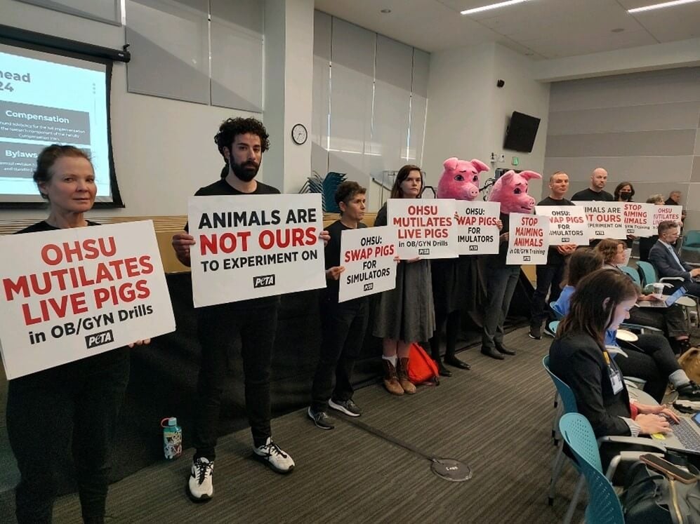 OB/GYN Patients Demand End to OHSU’s Pig Body Count in New PETA Video Hitting Campus