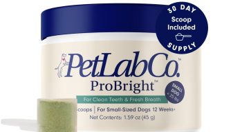 PetLab Co. ProBright Dental Powder Review: Does It Really Work?