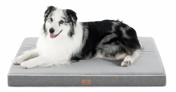 Bedsure Memory Foam Dog Bed – An Honest Review