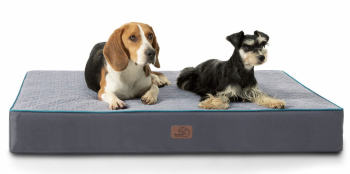 Bedsure Orthopedic Dog Bed – An Honest Review