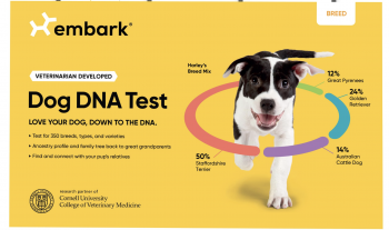 Embark Breed Identification Kit REVIEW: Is It Worth the Hype?