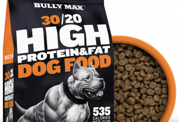 5 Best Dog Foods for Weight Gain (2024)