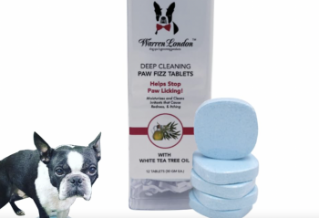 6 Best Itchy Paw Soaks for Dogs (2024)
