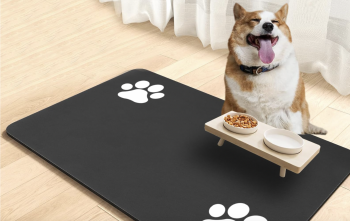 4 Best Grounding Mats for Dogs (2024)