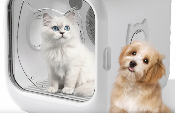 6 Best Automatic Pet Dryers Box for Small Dogs & Cats (2024)