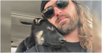 Man Sought Out Puppy No One Wanted So They Can Comfort Each Other