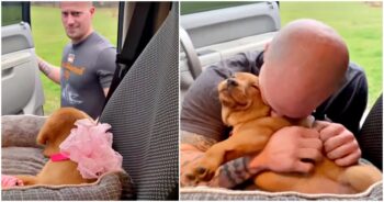 Husband Opens Car Door And ‘Locks Eyes’ With Dream Puppy He Wished For