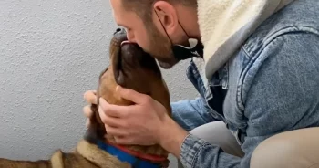 Guy Meets Dog He’s Told Is ‘Aggressive’, Reads Note From Former Owners