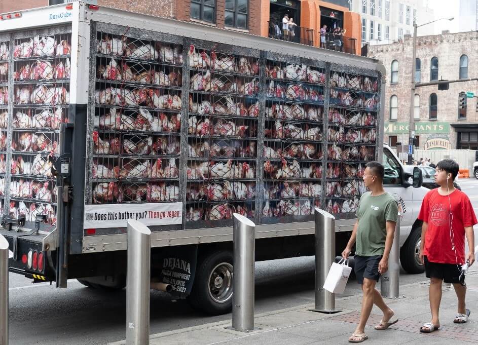 ‘Hell on Wheels’ Is Coming: Chicken Truck to Blast Dying Birds’ Cries at Pier Park