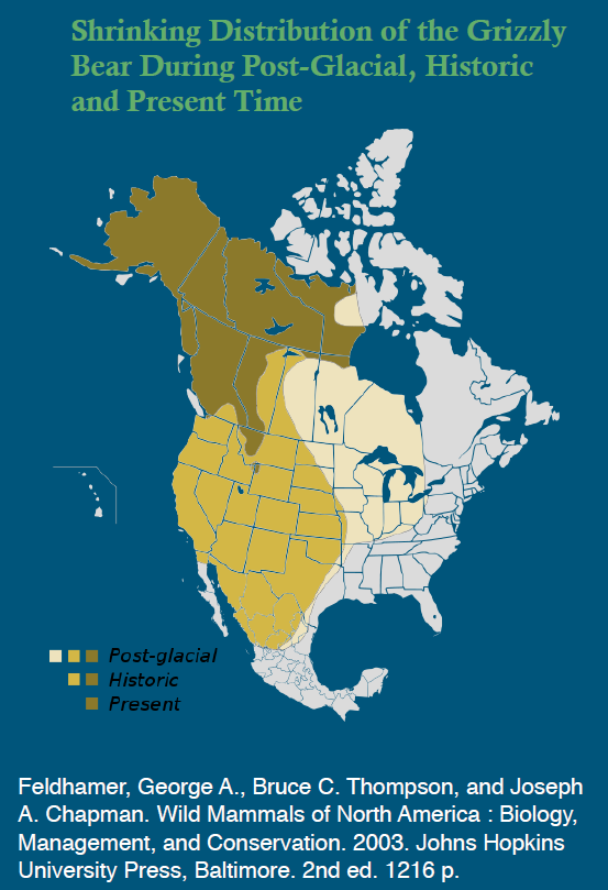 Grizzly Bear Recovery in the West: What’s on Tap in 2024