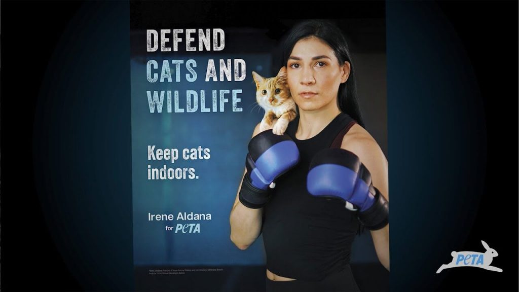 Cat Safety TKO: UFC Star Irene Aldana Throws Down for Cats and Wildlife in PETA Ad