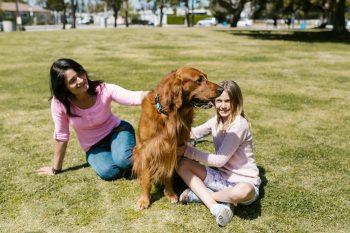 7 Dog Breeds That Form the Strongest Bonds With Their Human Families