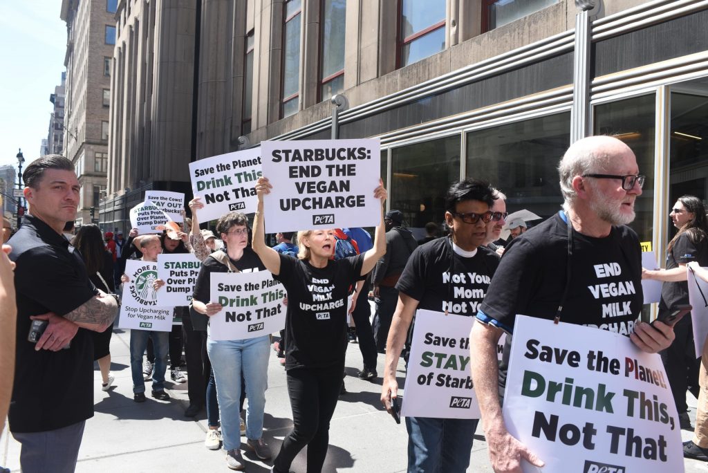 ‘Drop It!’ PETA to Cause a Stir at Starbucks Shareholder Meeting Over Nondairy Milk Upcharge