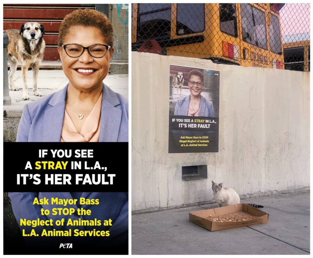 PETA Plasters Streets With Messages Blasting Mayor Bass Over Failed Animal Shelter Policies