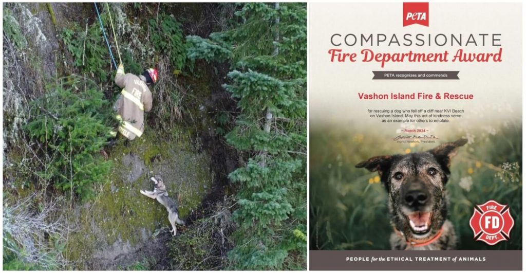 Vashon Firefighters Nab PETA Award for Rescuing Dog Stranded on Cliffside After 100-Foot Fall