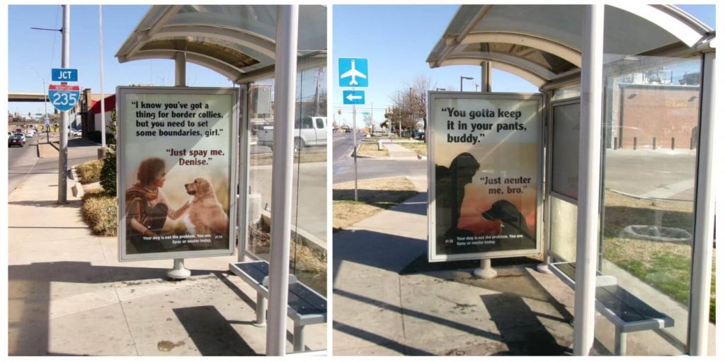 ‘Just Neuter Me, Bro!’ Dogs in Bus Stop Blitz Offer ‘Fix’ for City’s Animal Overpopulation Crisis