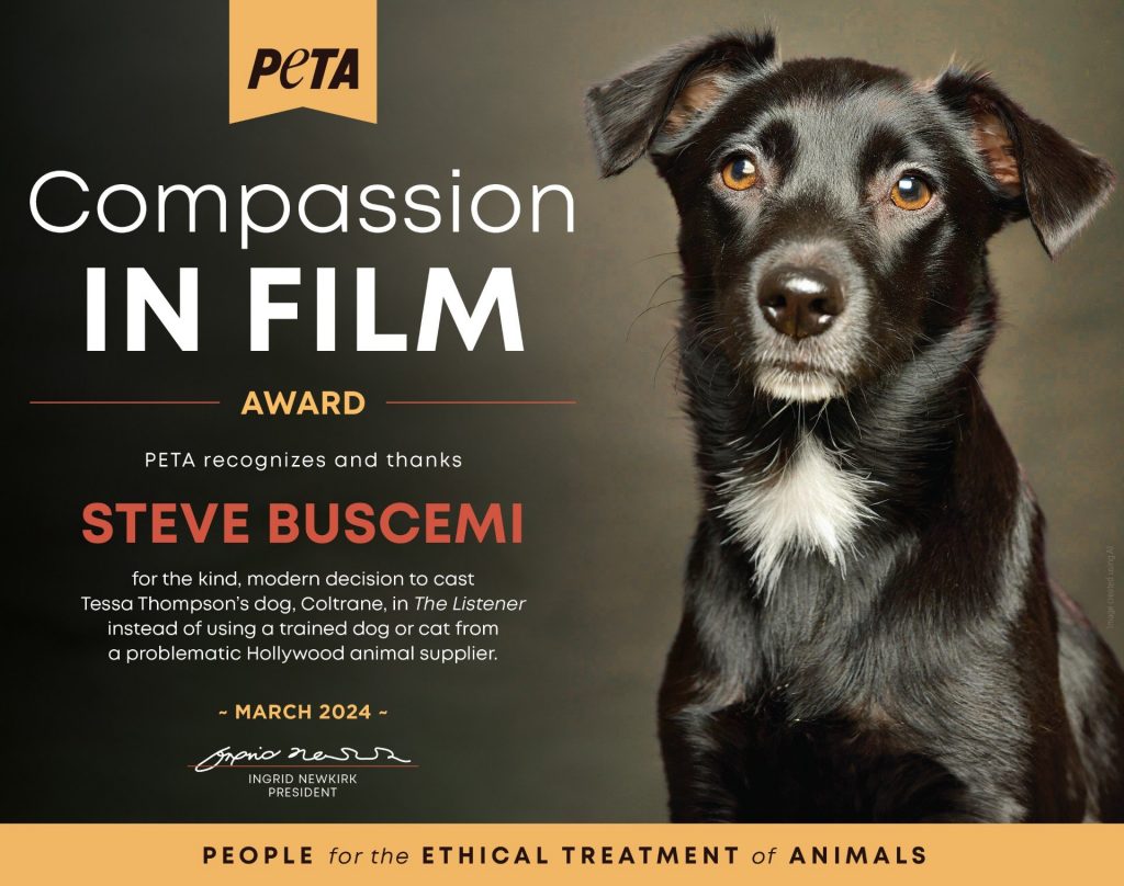 Steve Buscemi Earns PETA’s Praise for Casting Tessa Thompson’s Dog in The Listener